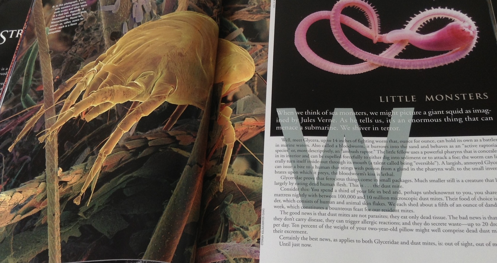 Life: Strange But True: 100 of the World's Weirdest Wonders (Plus: Famous Hoaxes Revealed) ราคา 150