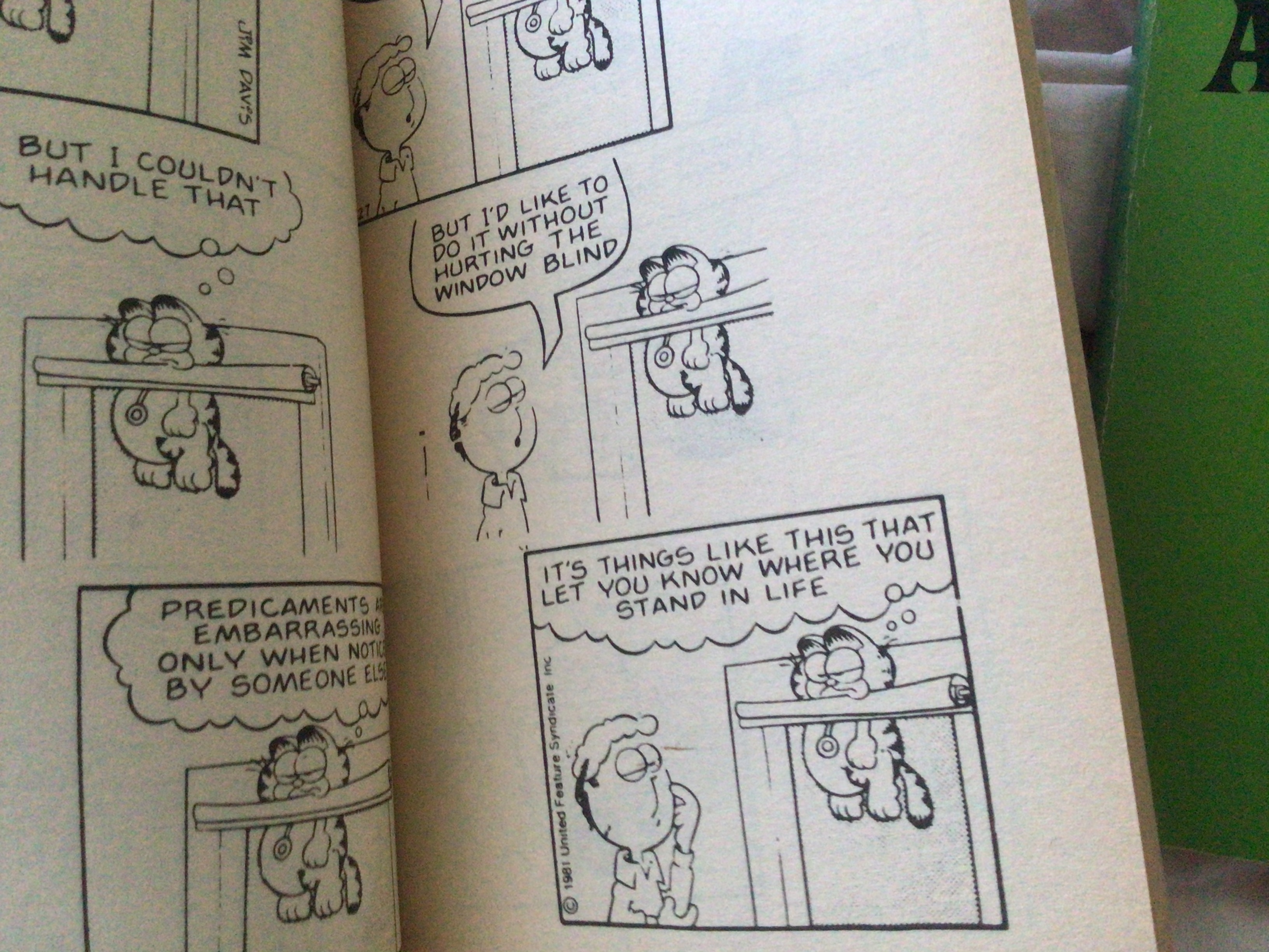 การ์ตูนรวมเล่มขาวดำสามช่องจบ Garfield 2เล่ม ราคา 160