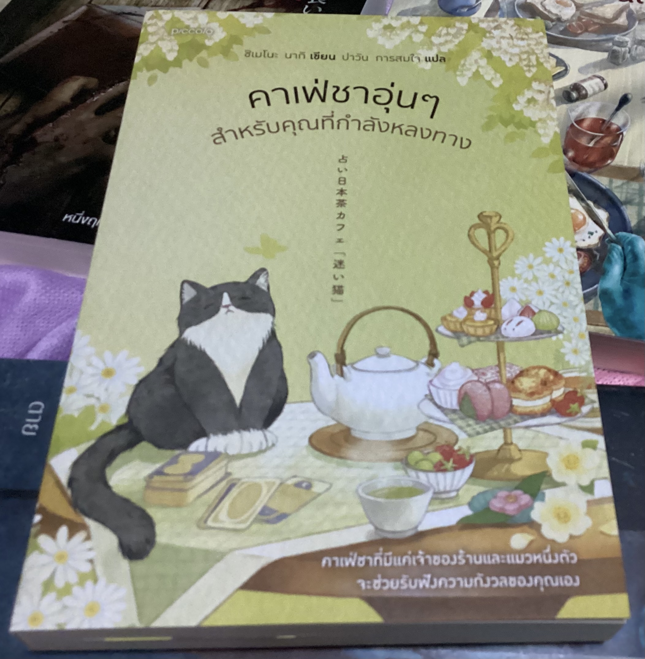 (สั่ง9จ่าย7) คาเฟ่ชาอุ่นๆ สำหรับคุณที่กำลังหลงทาง นากิ ชิเมโนะ ราคา 235