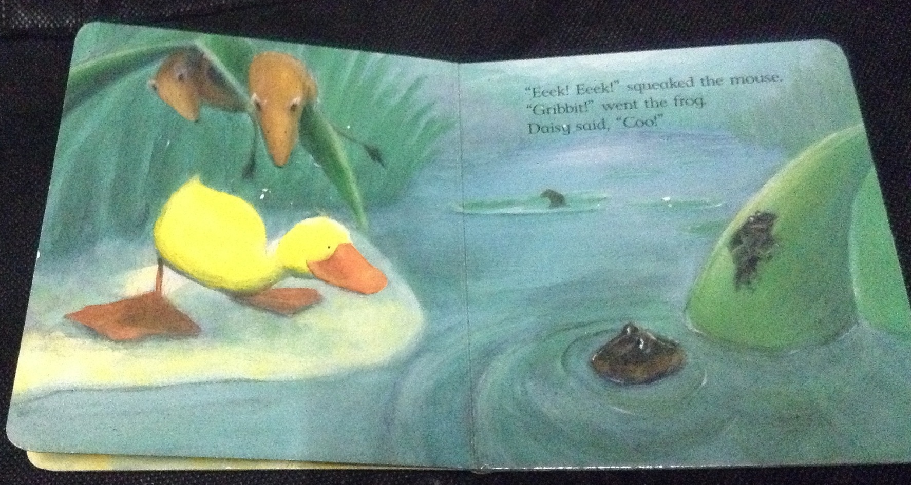 Daisy says coo! ราคา 65