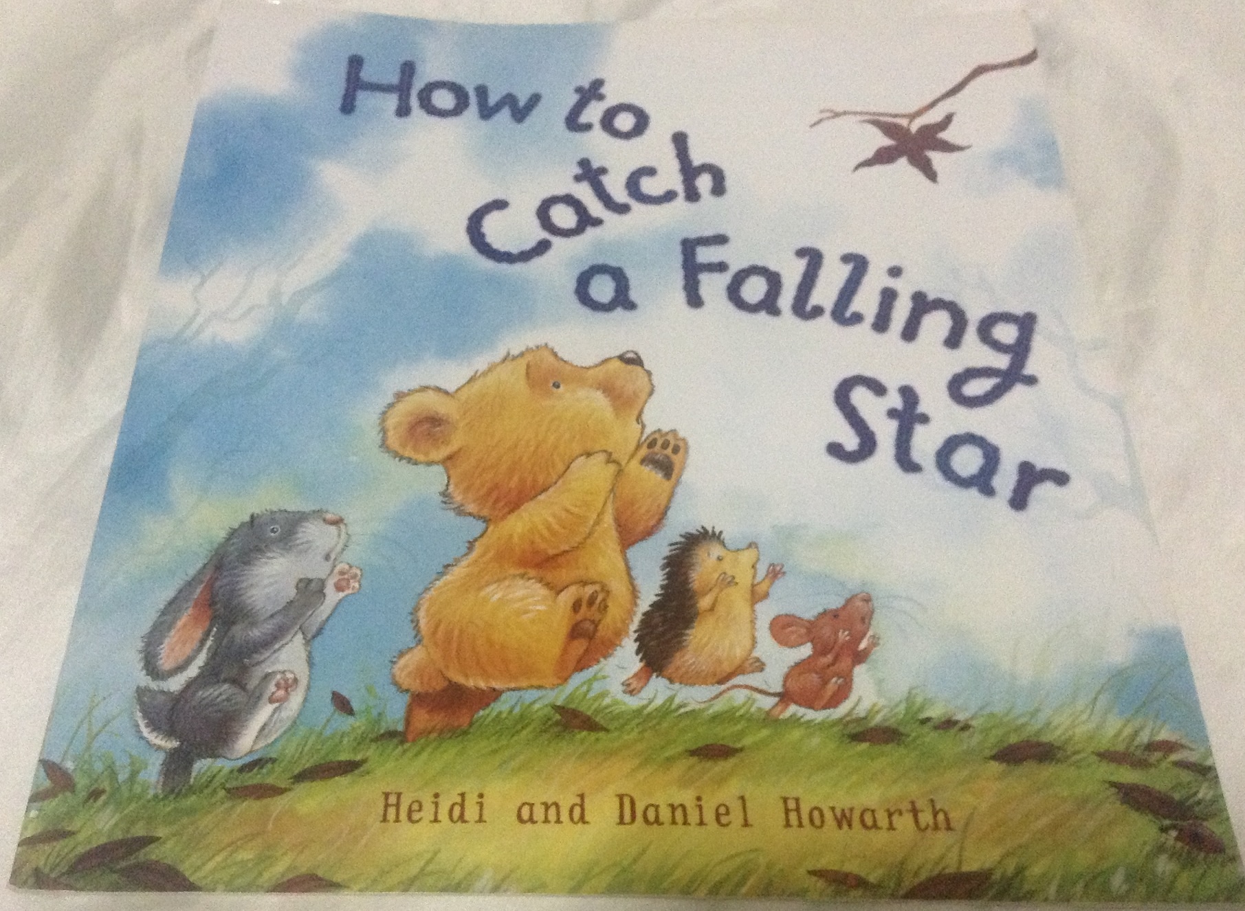 (4แถม4) How To Catch A Falling Star by Heidi Howarth, Daniel Howarth (Illustrator) ราคา 95
