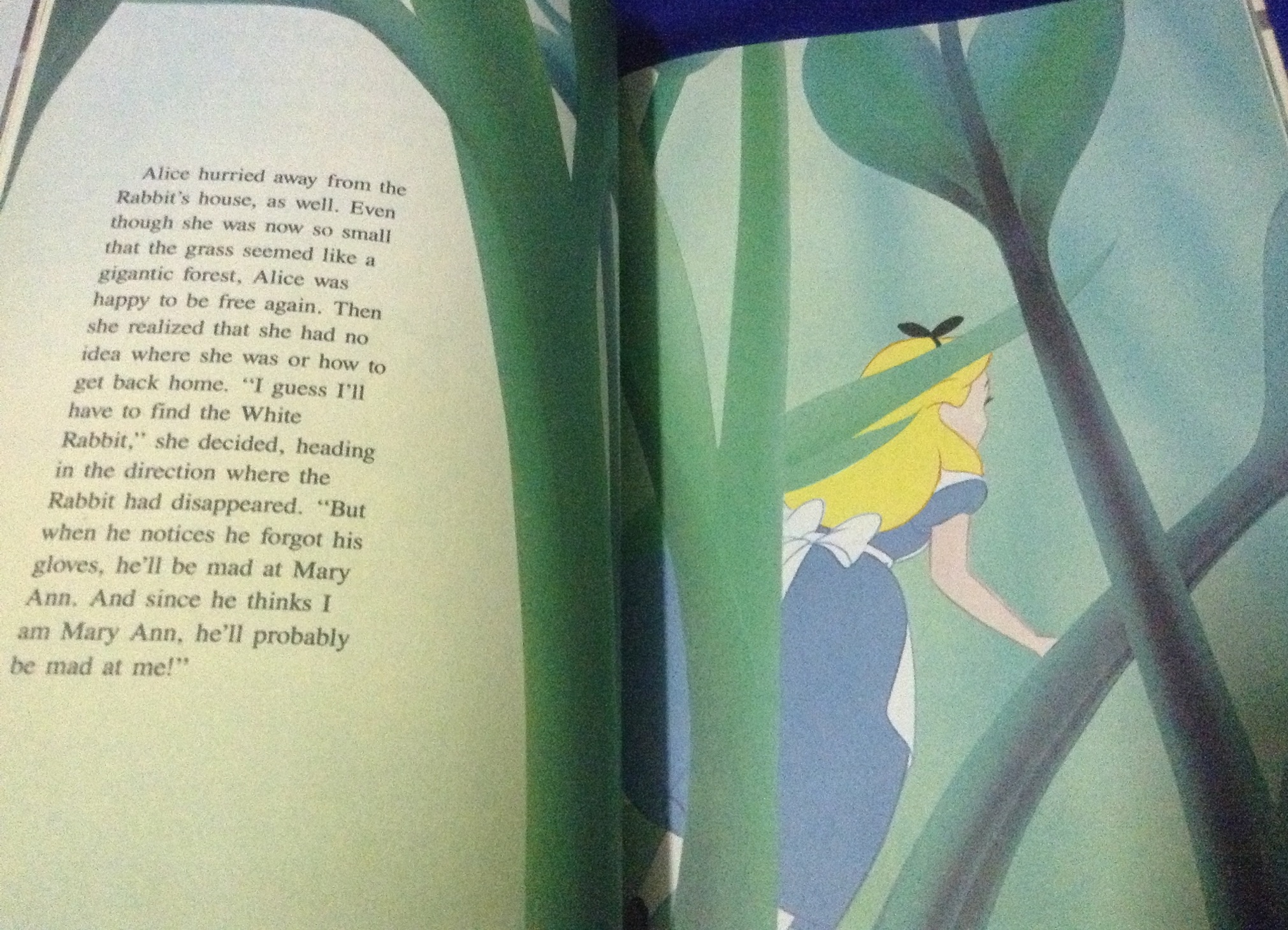 alice in wonderland ปกแข็ง ภาพสี ราคา 200