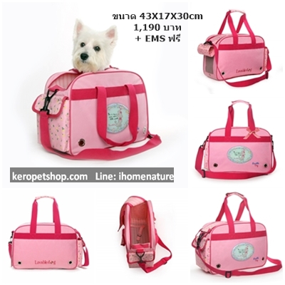 กระเป๋าใส่สุนัข แมว กระเป๋าใส่สัตว์เลี้ยง Type 06