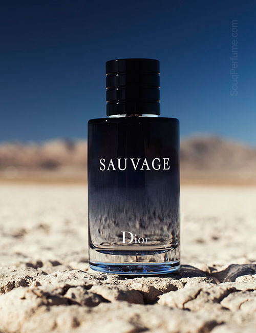 น้ำหอมดิออร์ DIOR - SAUVAGE EDT 100ml
