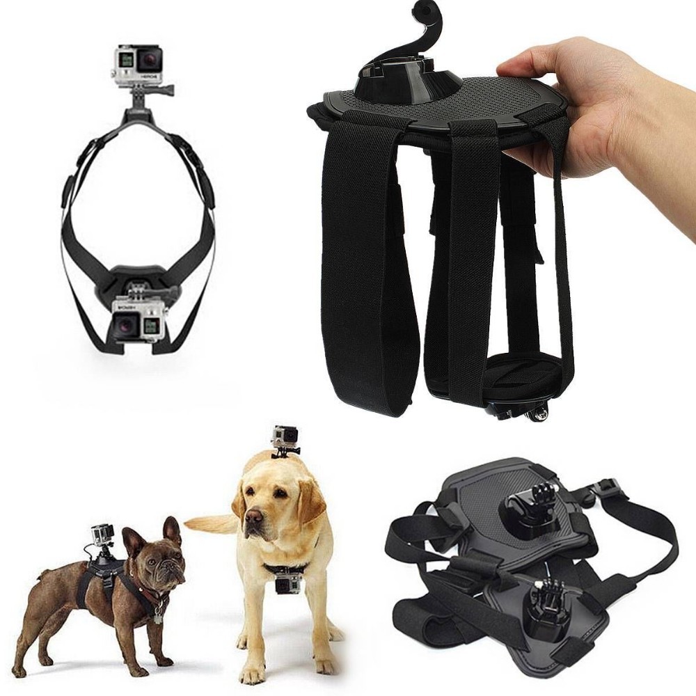 สายคาดลำตัวสุนัข ติดตัวน้องหมา สำหรับกล้อง ActionCam