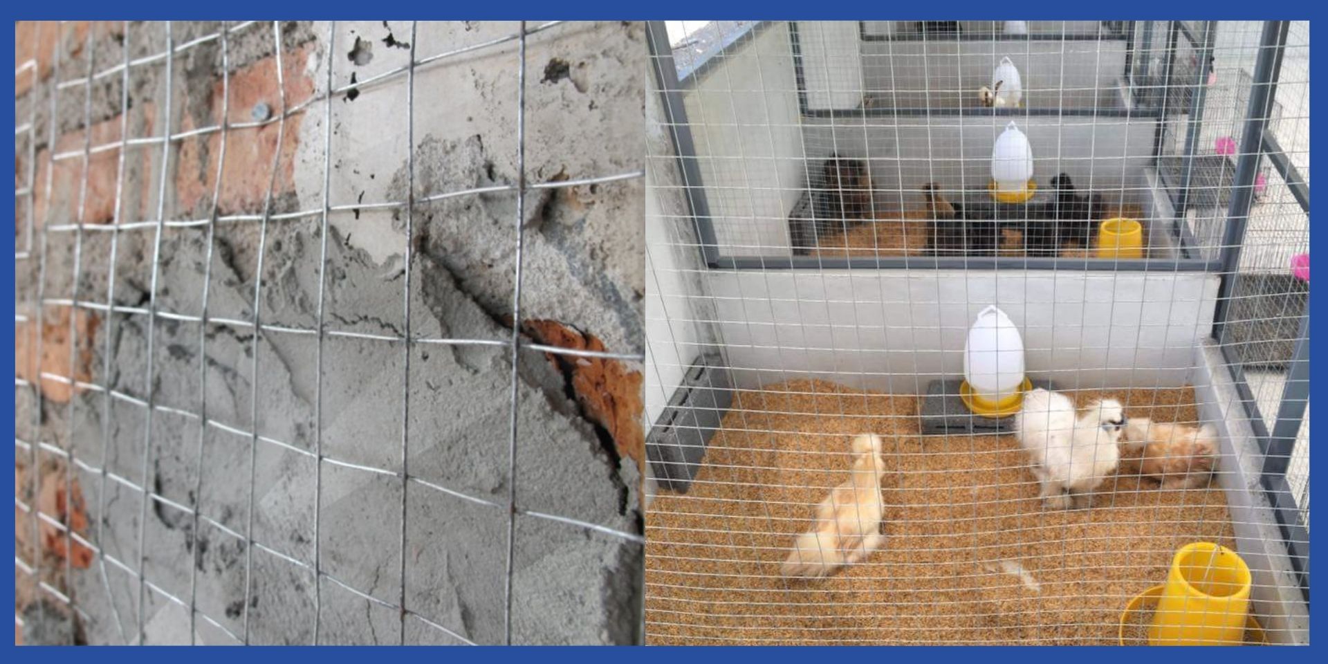 ลวดตาข่ายกรงไก่ ลวดตาข่ายกรงไก่