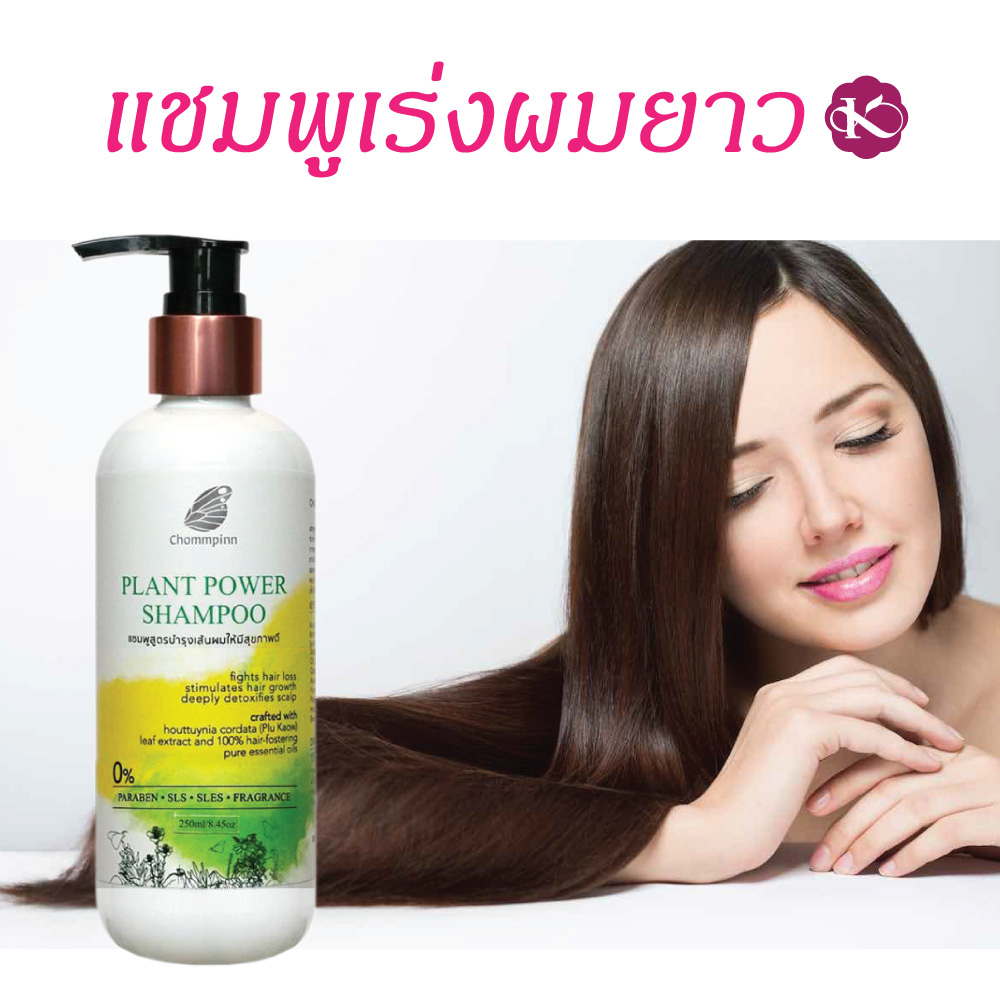 ผมยาวไวใช้อะไร แชมพูเร่งผมยาว ผมดก เพิ่มผมหนา สมุนไพร วิธีเร่งผมยาว ทำให้ผมหนาขึ้น ผู้ หญิง เร่งด่วน ลดผมร่วง ผมบาง PLANT POWER SHAMPOO 250 ml.