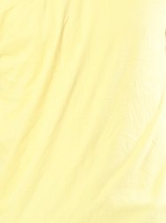 เสื้อยืด สีเหลืองพาสเทล คอกลม แขนยาว Size S