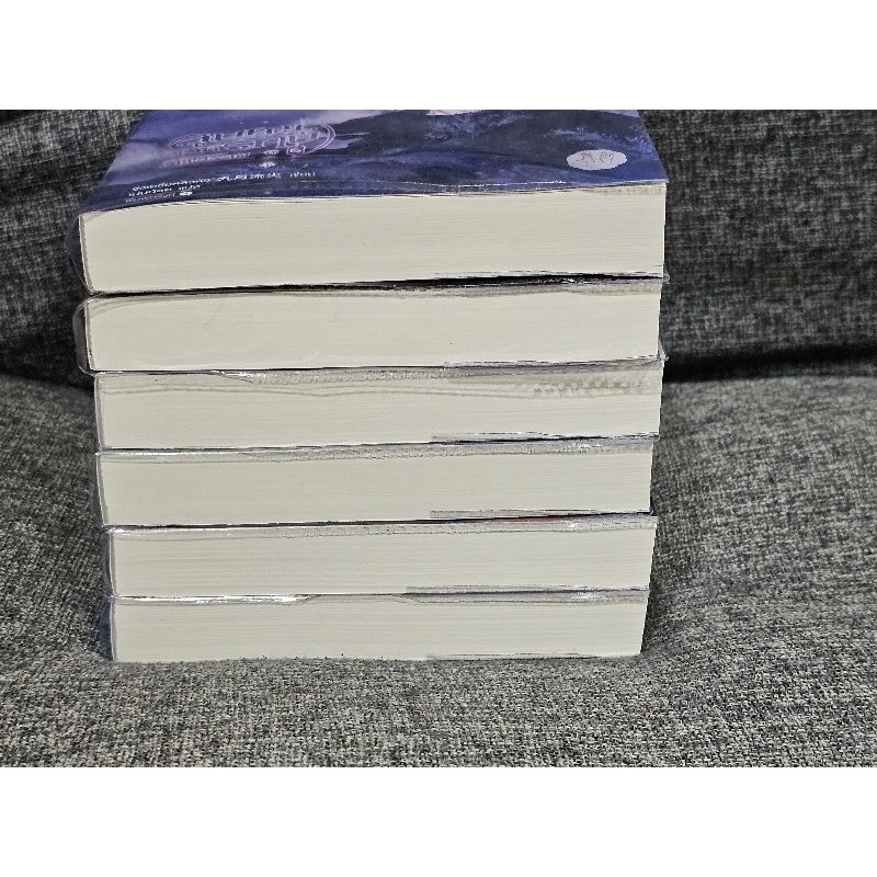 ลูบคมองครักษ์สวมรอย จิ่วเยวี่ยหลิวหั่ว 6เล่มจบ ราคา 1655