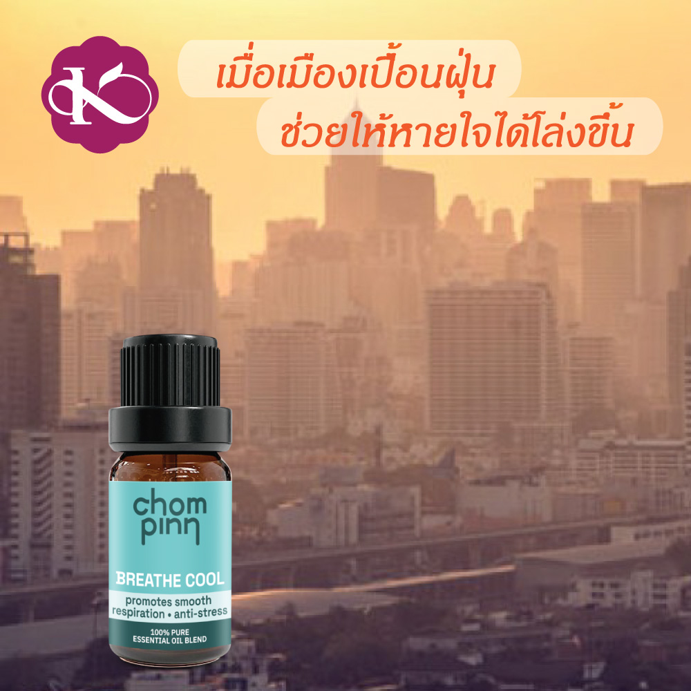 ภูมิแพ้อากาศทำไงดี PM 2.5 น้ำมันหอมระเหยแท้ เกรดบําบัด อโรมาเทอราปี บรรเทา โรคแพ้อากาศ ป้องกัน หวัด ลูกคัดจมูกตอนกลางคืน น้ํามูกไหล จาก พืช ธรรมชาติ 100 % Breathe Cool ชมภิญญ์ 10 ml. ราคา 350