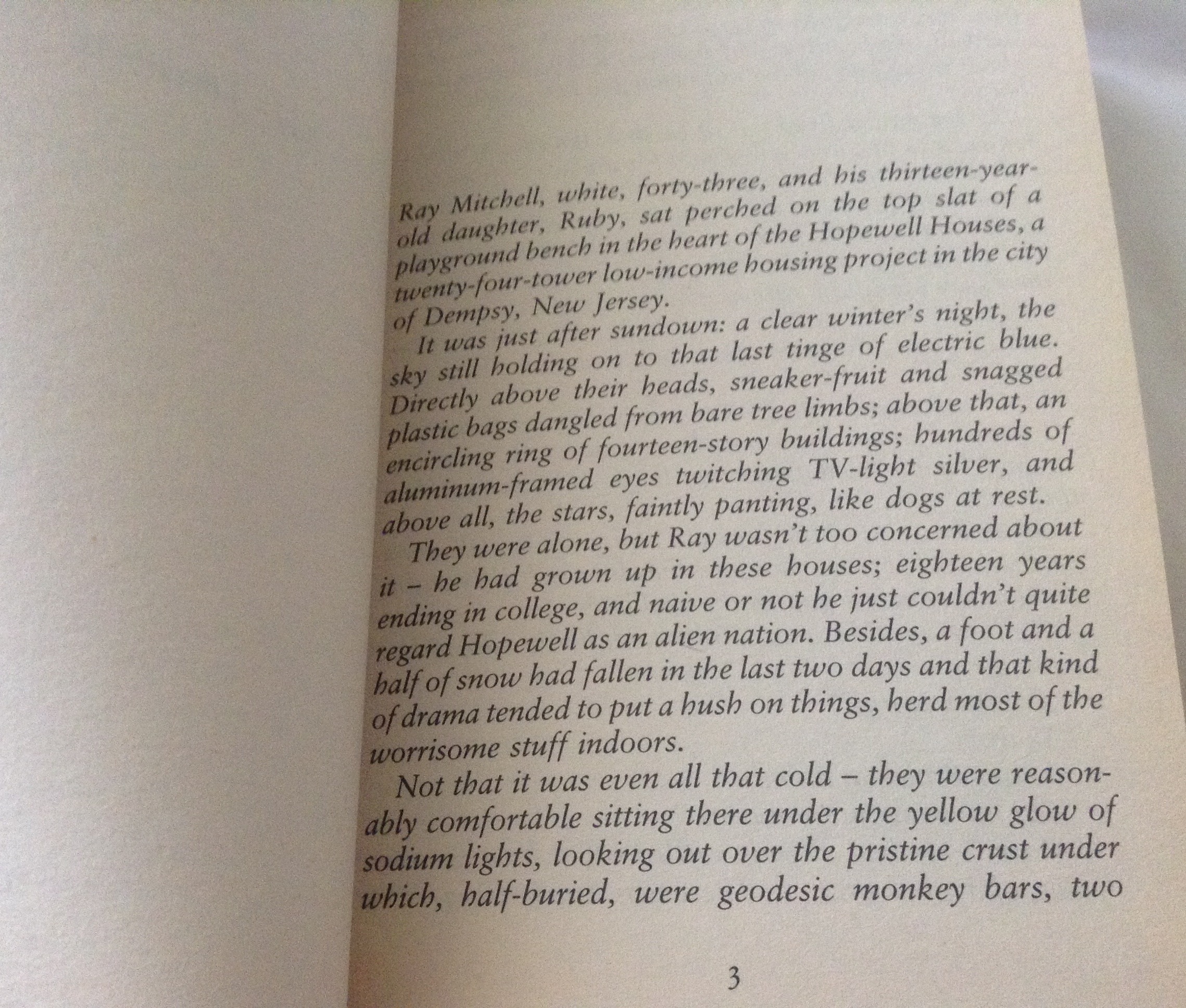 Samaritan by Richard Price ราคา 100