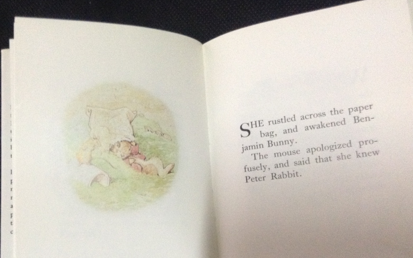 The Tale of the Flopsy Bunnies ราคา 90