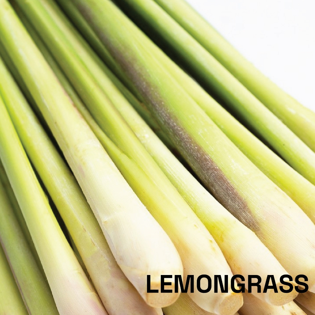 น้ำมันหอมระเหยบริสุทธิ์ตะไคร้ ธรรมชาติ 100 % (Lemongrass) 10 ml. ชมภิญญ์
