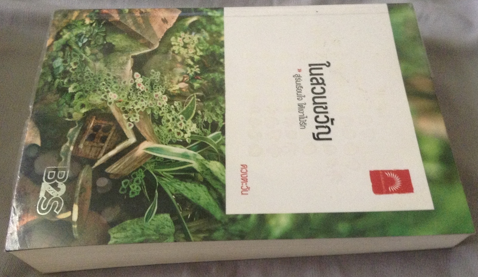 (สั่ง9จ่าย7) ในสวนขวัญ ดวงตะวัน ราคา 170