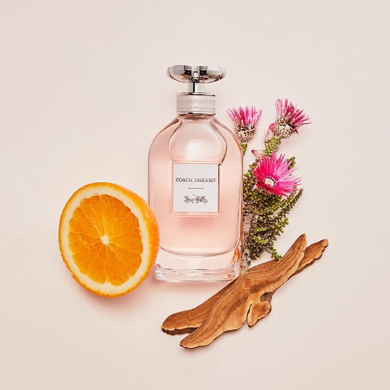 น้ำหอมโค้ช มินิ COACH DREAM Travel Spray EDP 10ml mini