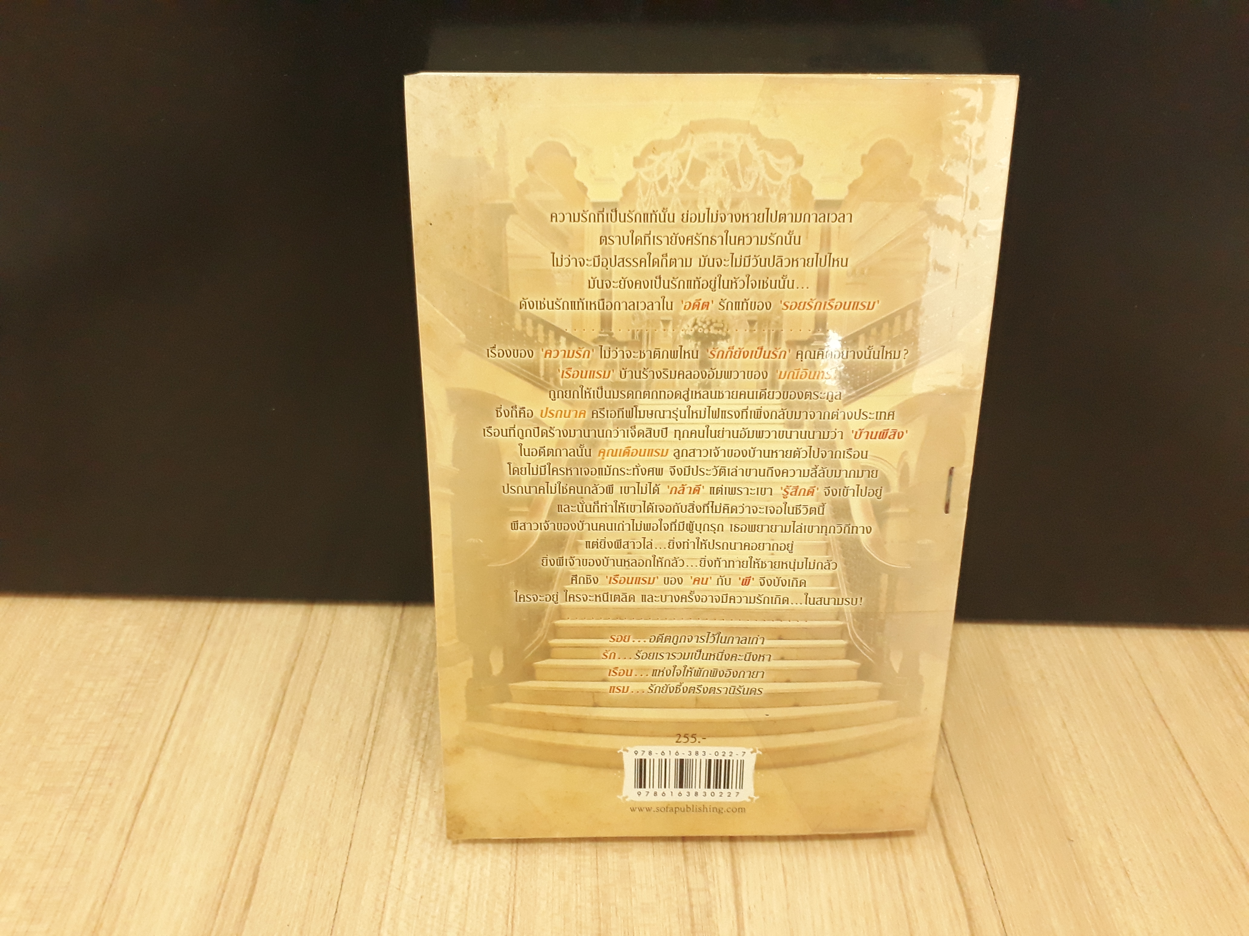 นิยายสภาพเช่า เรื่อง รอยรักเรือนแรม : ภาคินัย : sofa