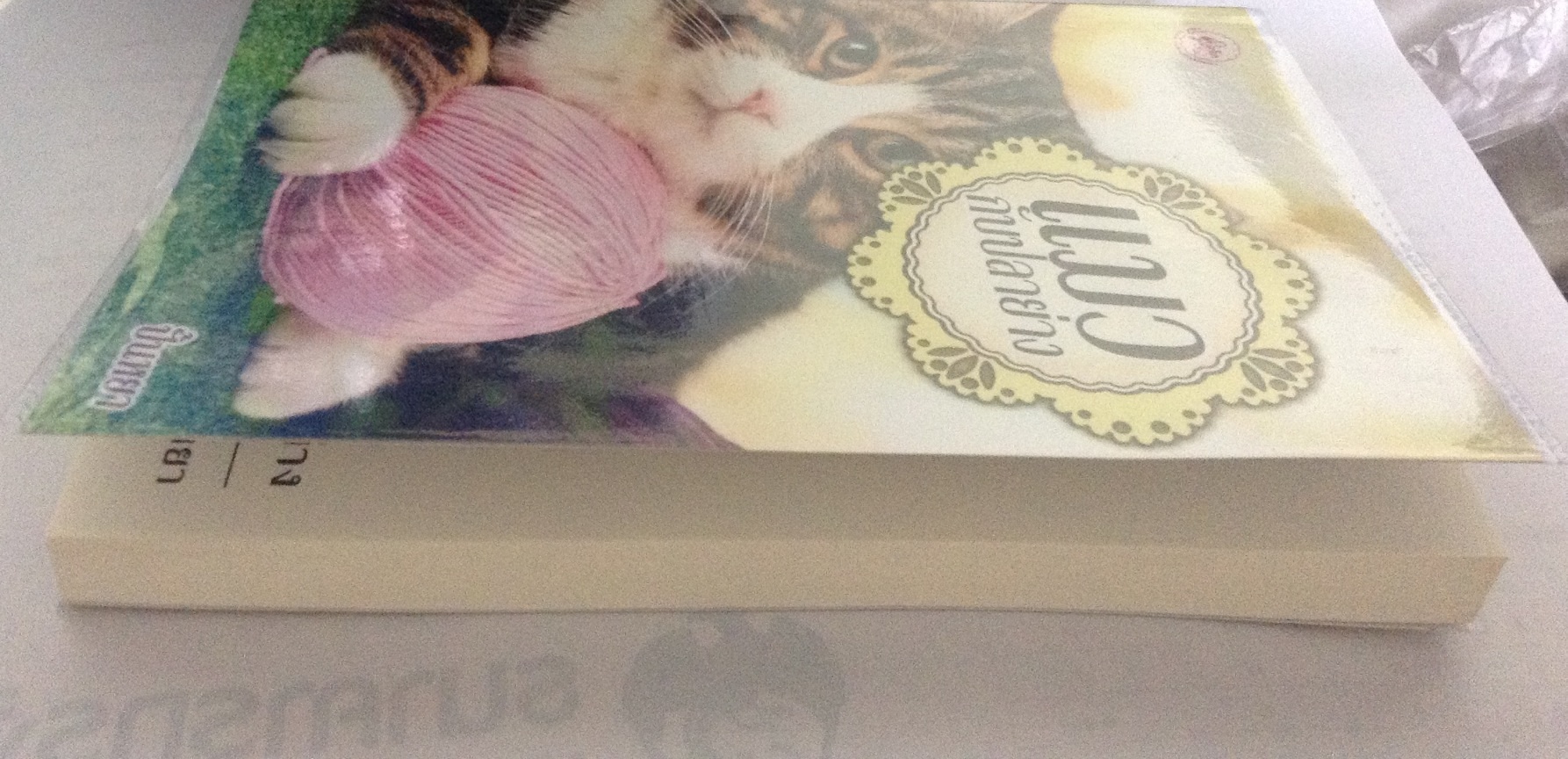 (สั่ง9จ่าย7) แมวกับปลาย่าง ปั้นหยา ราคา 85