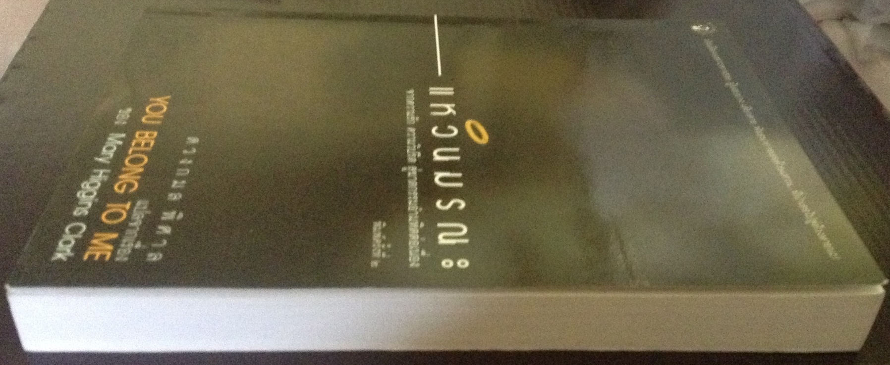 (สั่ง9จ่าย7) แหวนมรณะ [ You Belong To Me ] Mary Higgins Clark ราคา 161