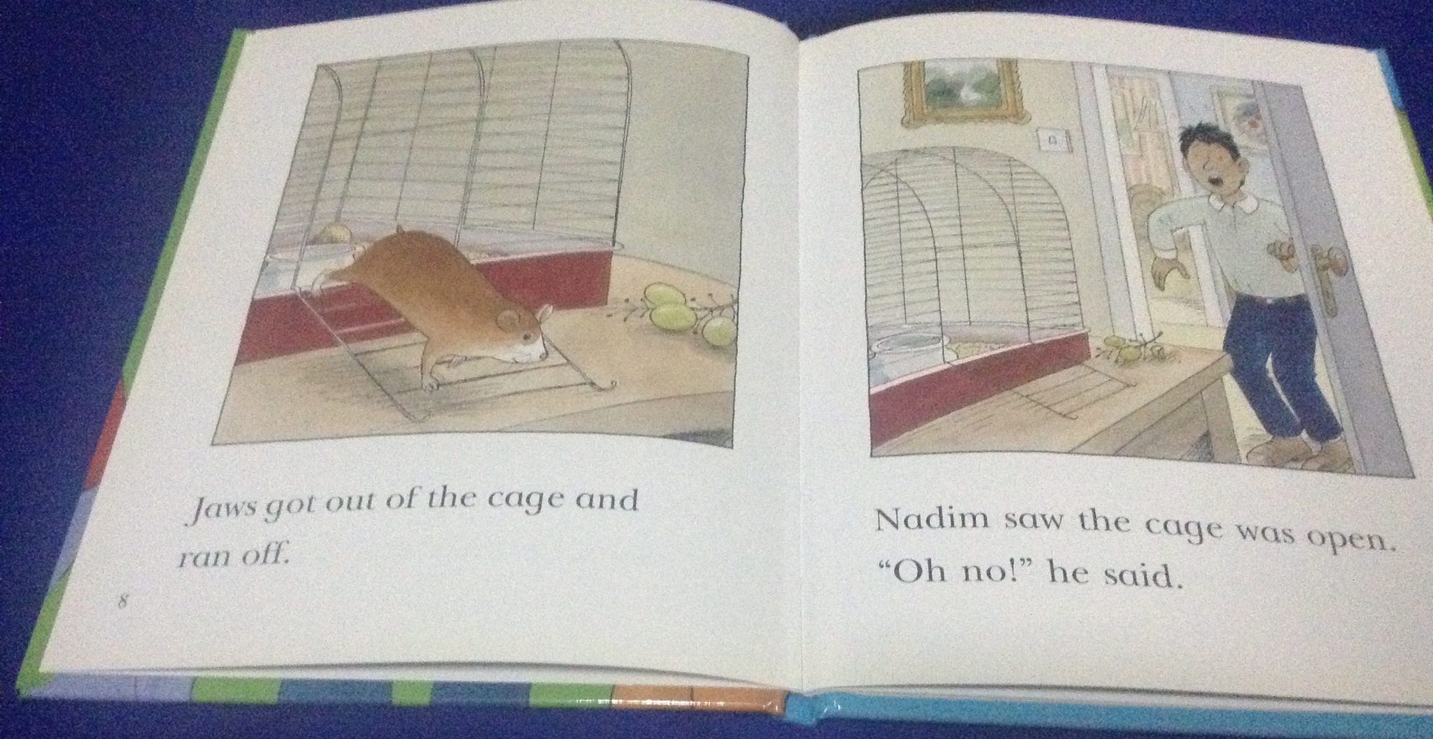 Missing! (Read With Biff, Chip And Kipper) by Roderick Hunt, Alex Brychta (Illustrator) ราคา 100