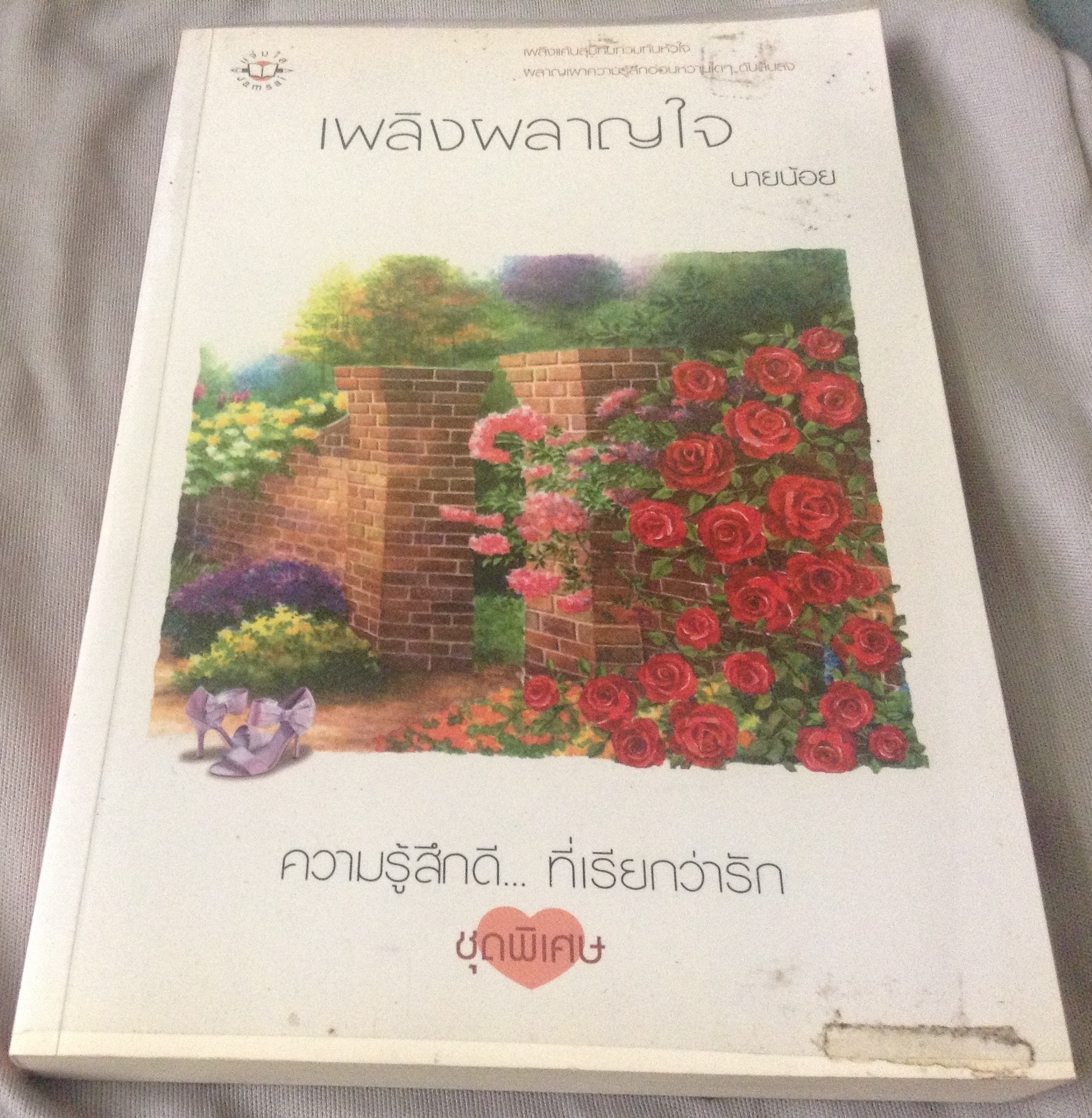 (สั่ง8จ่าย7) เพลิงผลาญใจ นายน้อย ราคา 95