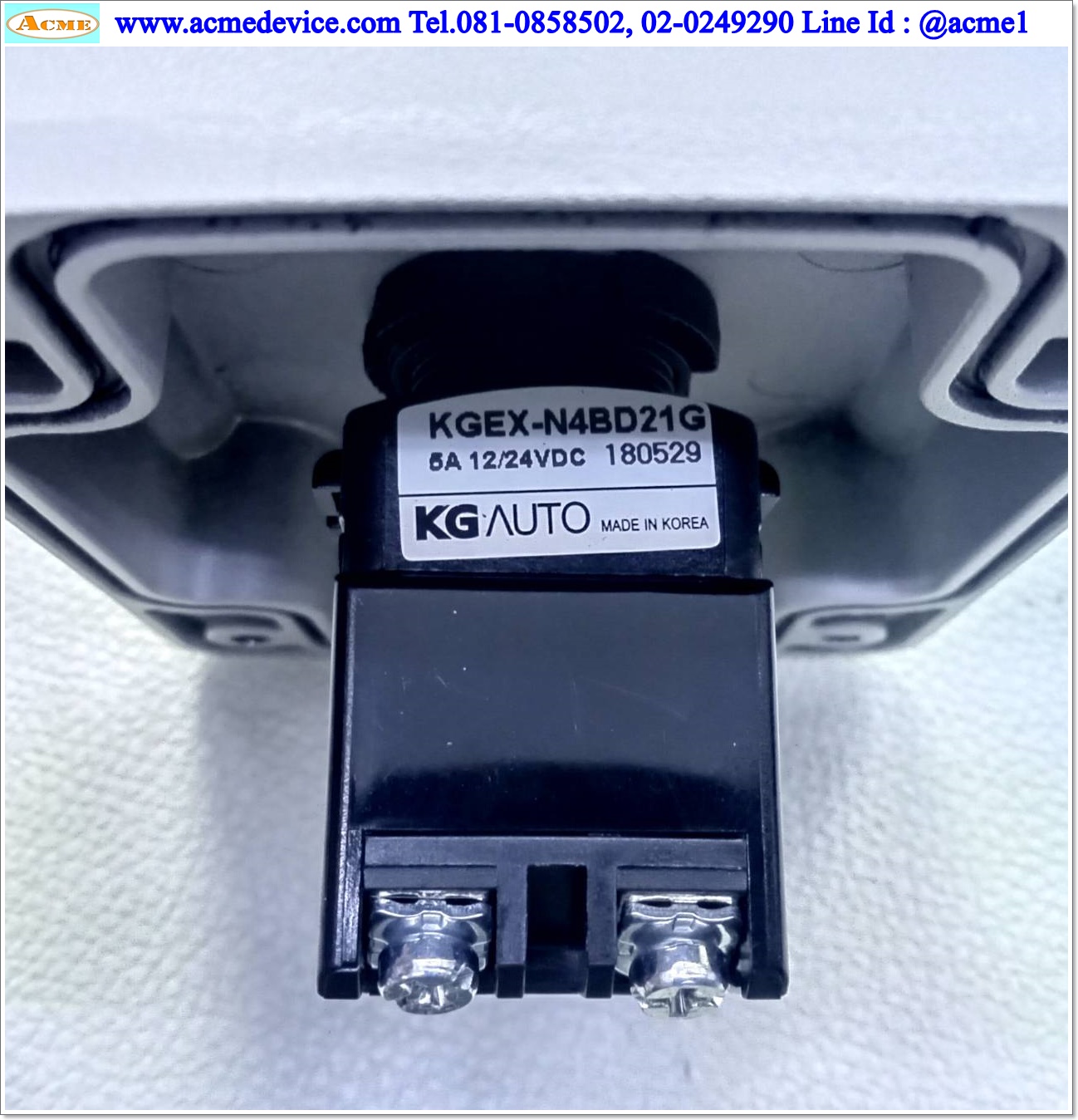 Pushbutton Switch KG รุ่น KGEX-N4BD21G, Control Station