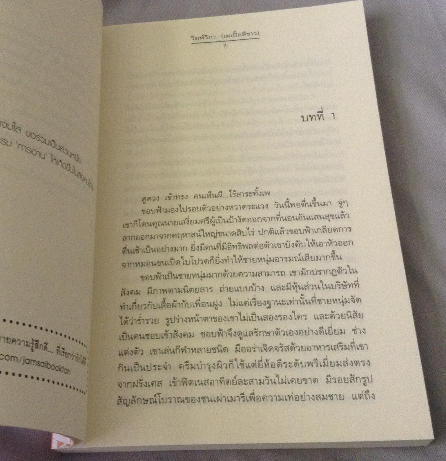 (สั่ง9จ่าย7) ทำนายฟ้า ชะตารัก วิมพ์วิภา(เมเปิ้ลสีขาว) ราคา 80