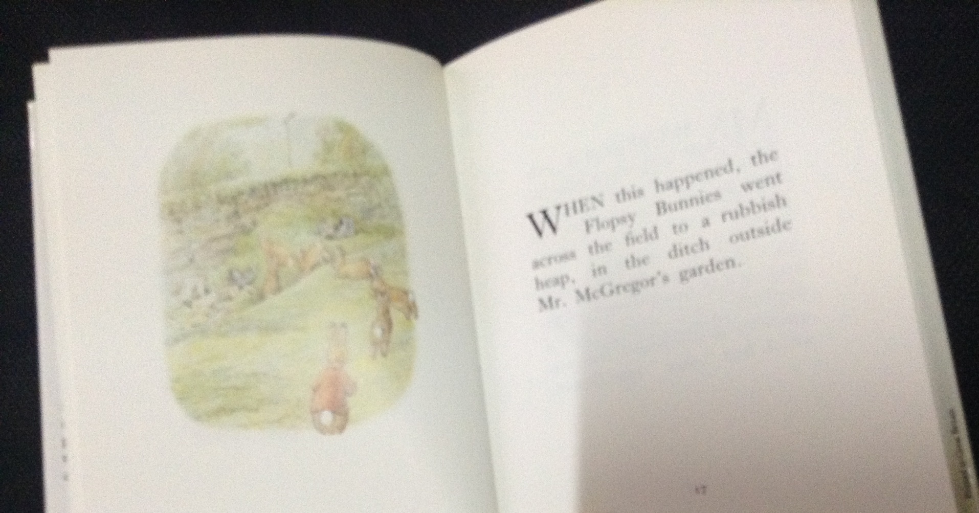 The Tale of the Flopsy Bunnies ราคา 90