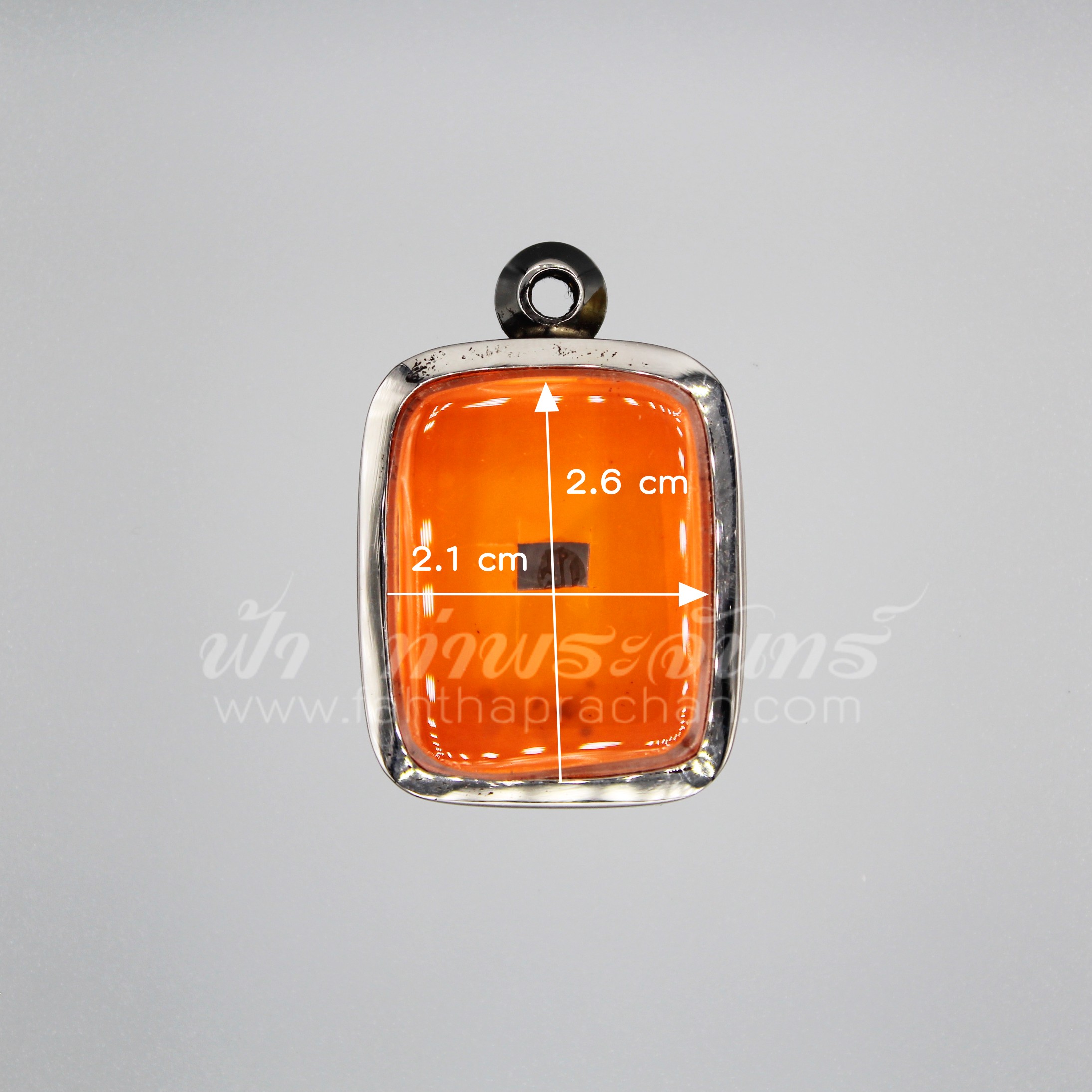 ตลับหลวงพ่อปาน หน้าเดียว สแตนเลสพุก