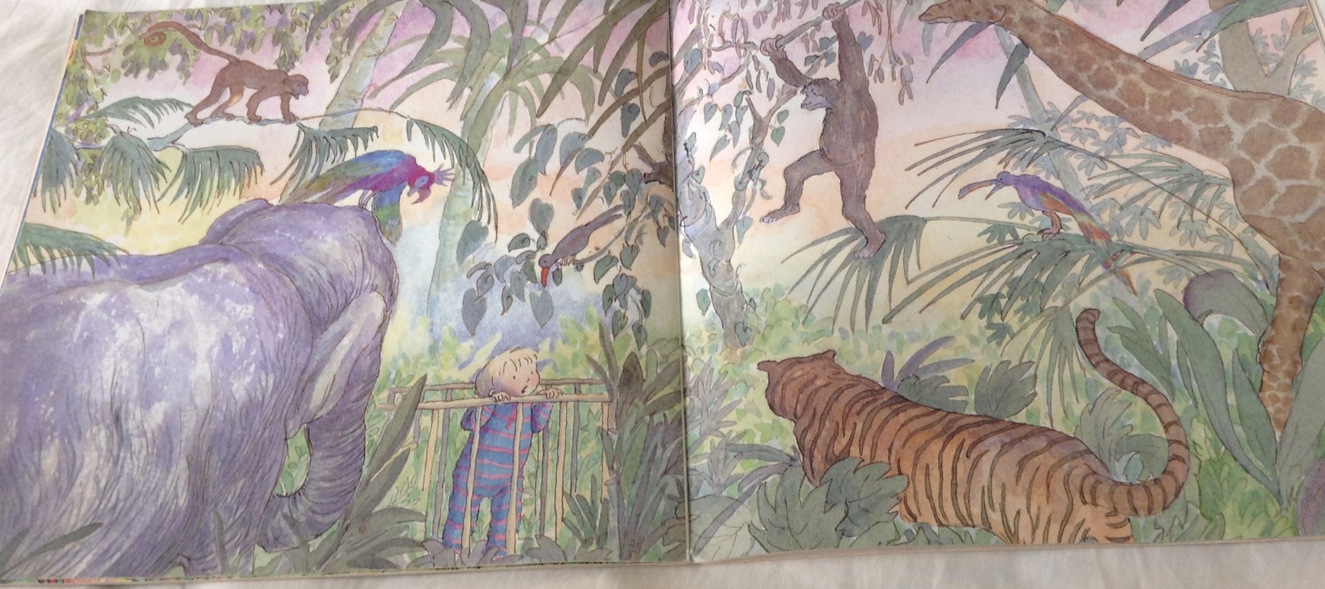 (4แถม4) Leo and the wallpaper jungle by Rachel Pank ราคา 95