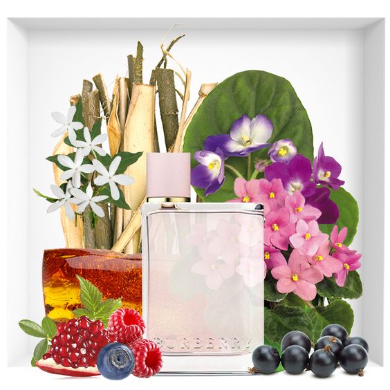 น้ำหอมเบอเบอรี่ BURBERRY Her EDP 100ml