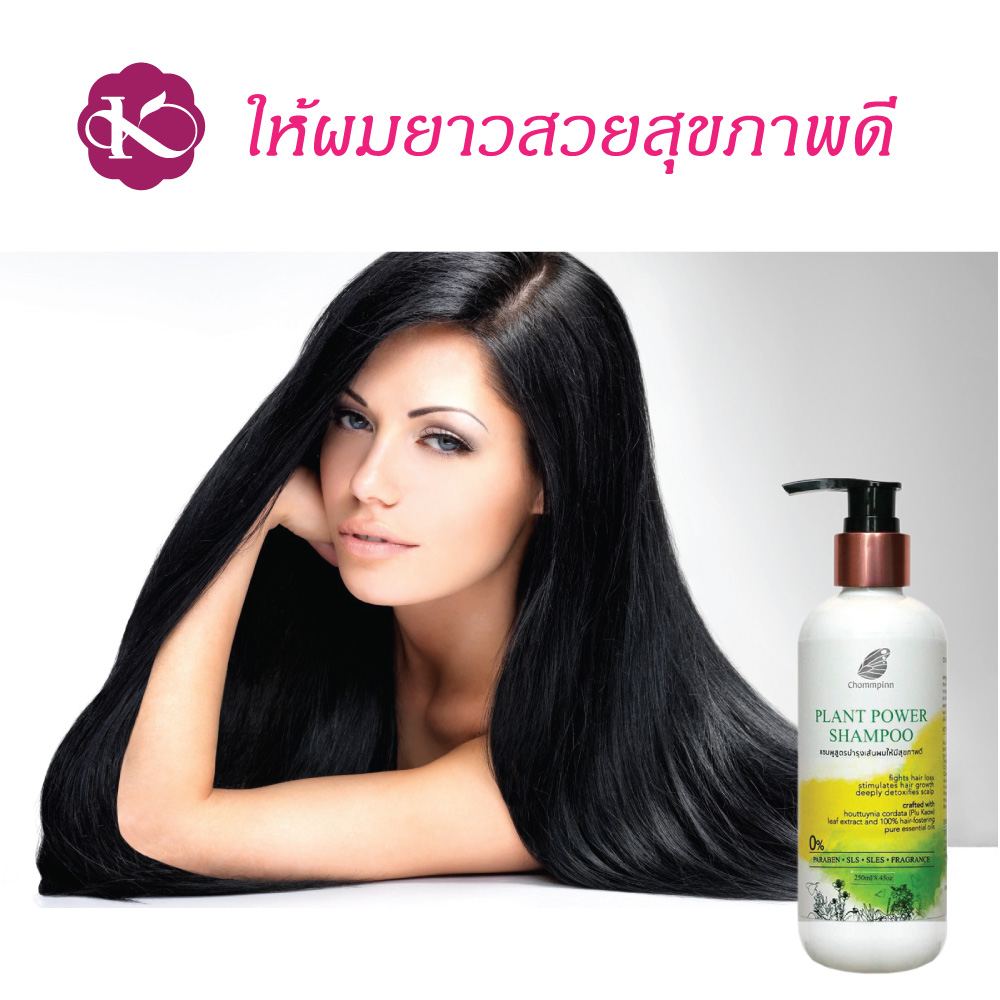 ผมยาวไวใช้อะไร แชมพูเร่งผมยาว ผมดก เพิ่มผมหนา สมุนไพร วิธีเร่งผมยาว ทำให้ผมหนาขึ้น ผู้ หญิง เร่งด่วน ลดผมร่วง ผมบาง PLANT POWER SHAMPOO 250 ml.