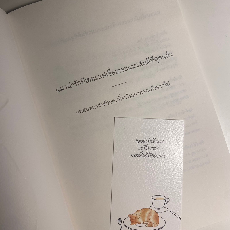 (สั่ง9จ่าย7) แมวน่ารักมีเยอะแต่เชื่อเถอะแมวส้มดีที่สุดแล้ว บทสนทนาว่าด้วยคนที่จะไม่เกาคางแล้วจากไป ใบพัด นบน้อม