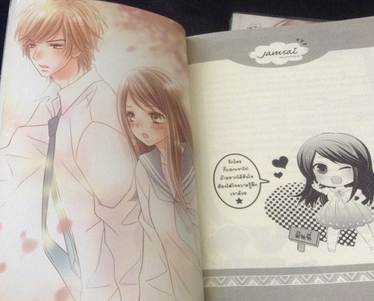 (สั่ง9จ่าย7) Bad Couple ป่วนใจยัยแม่มดให้หลงรัก + Sweet Lover แผนการร้ายป่วนหัวใจเธอให้รัก FaiRy* ราคา 253