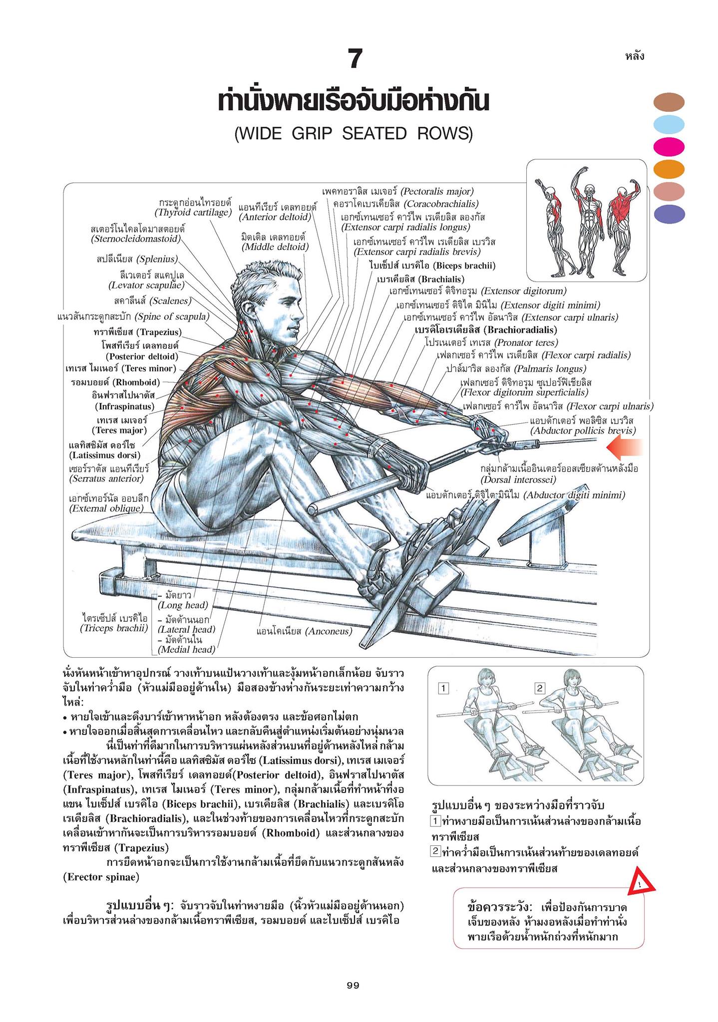 หนังสือเรื่อง กายวิภาคการออกกำลังกายแบบฝึกกล้ามเนื้อ Strength Training Anatomy (ปกแข็ง) : เฟรดเดอริค เดอลาวีเย : สำนักพิมพ์ แอร์โรว์