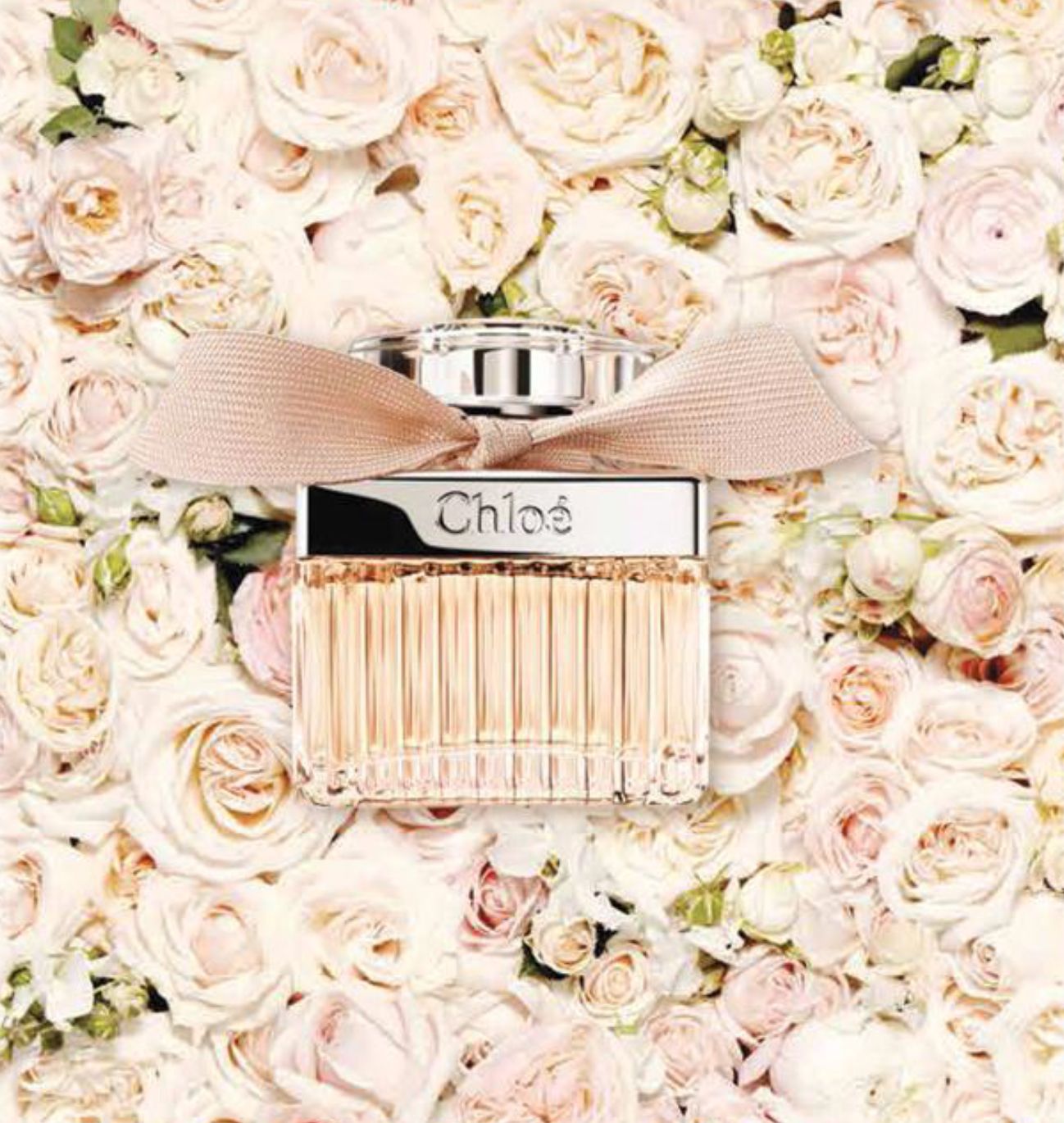 น้ำหอมโคลเอ้ CHLOE - SIGNATURE EDP 30 ML