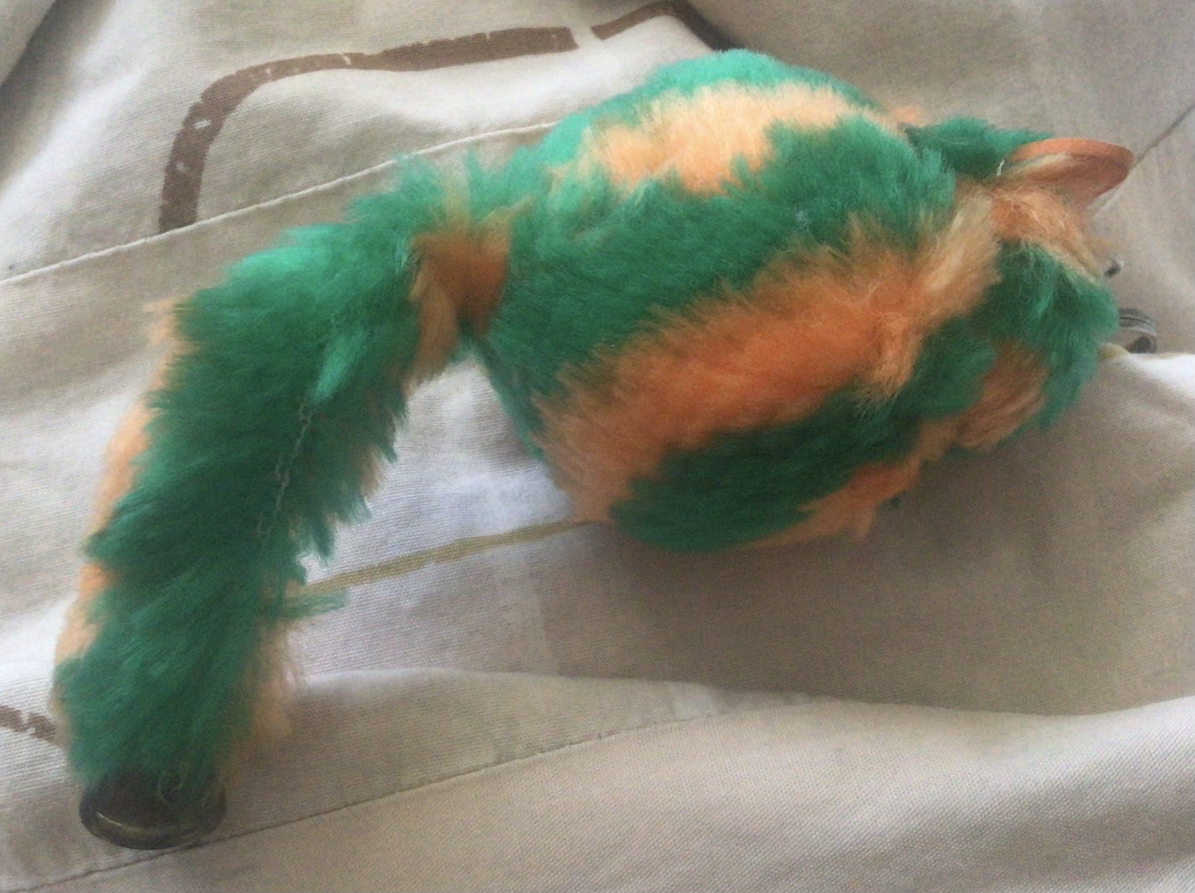 (ของแถม)พวงกุญแจส้มเขียวหางยาว