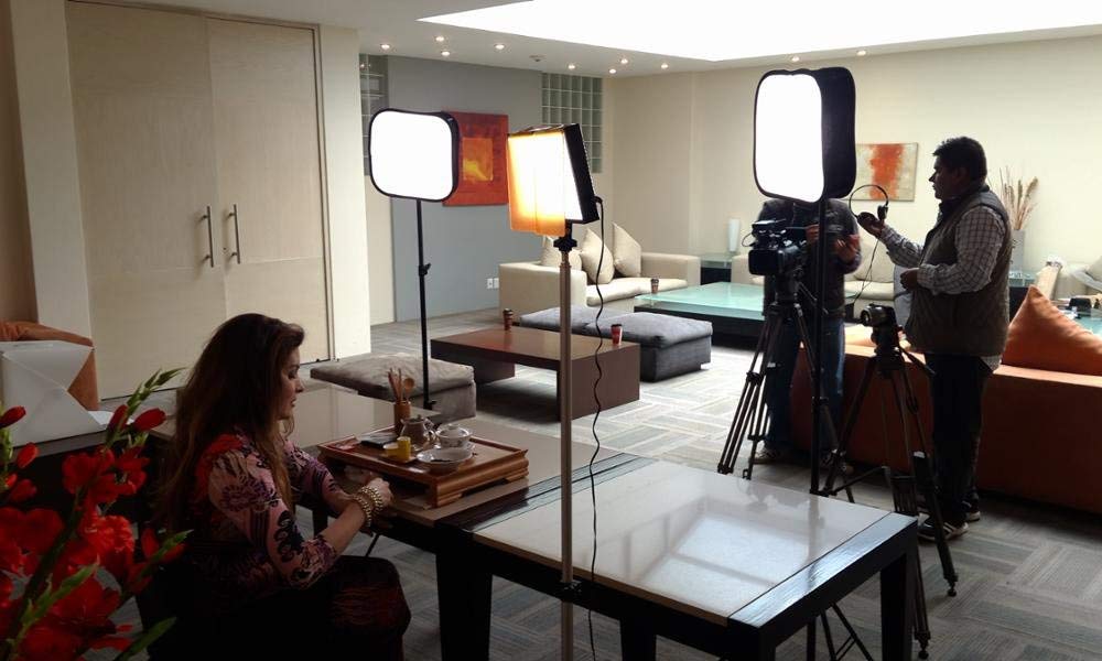 ซอฟต์บ็อกซ์ Softbox Diffuser for Yongnuo LED Video Light YN600/900/Opple100W