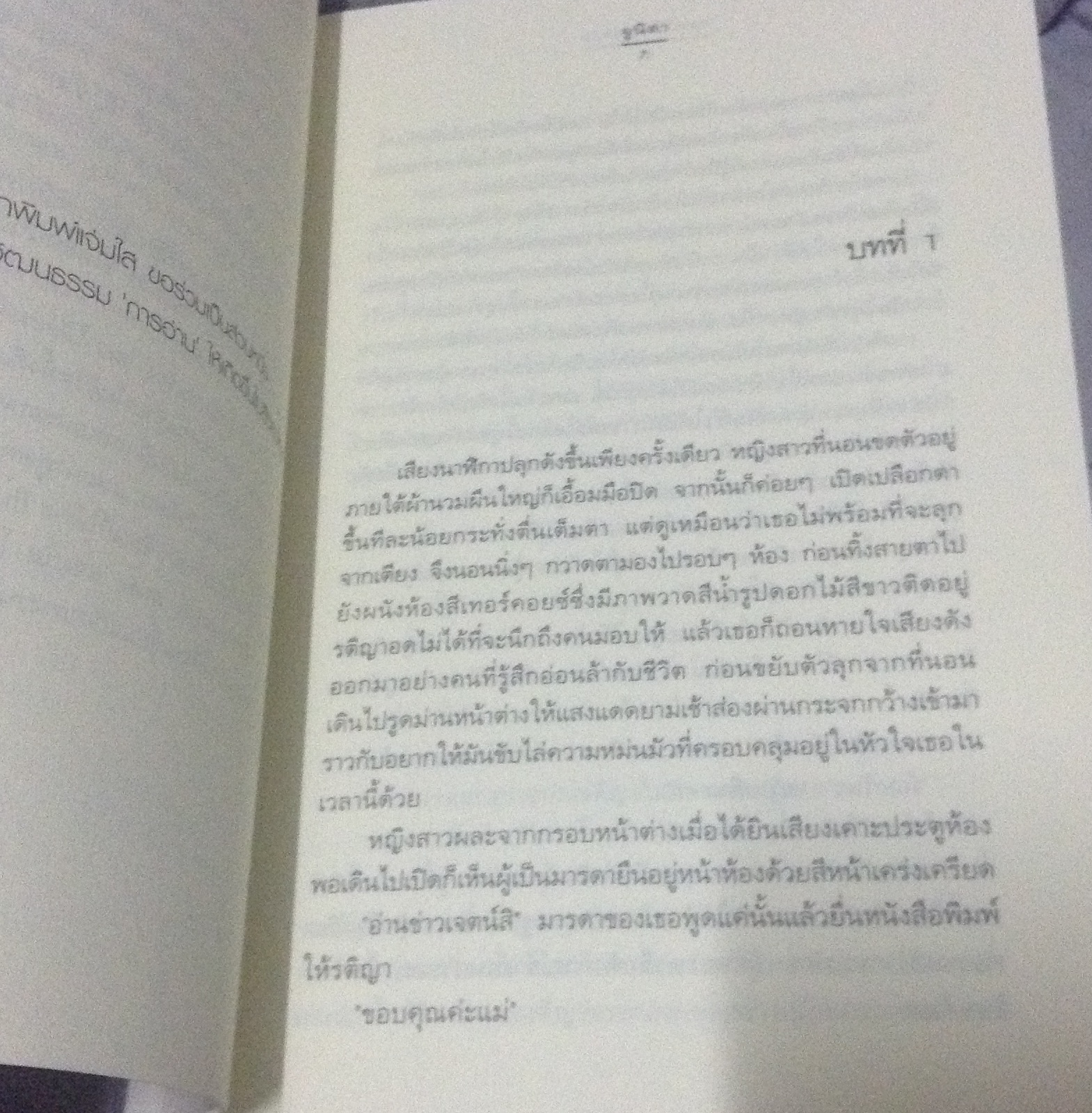 (สั่ง9จ่าย7) ดอกไม้ล้อมดาว จูนิตา ราคา 120