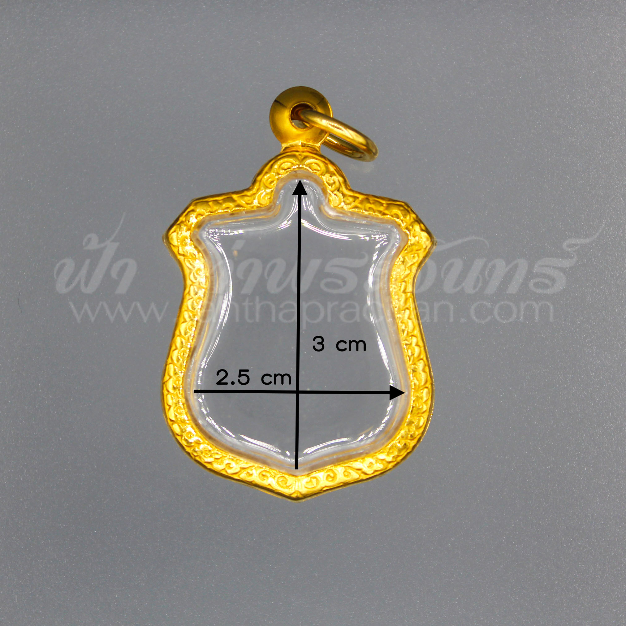 ตลับเหรียญร.9 เลเซอร์