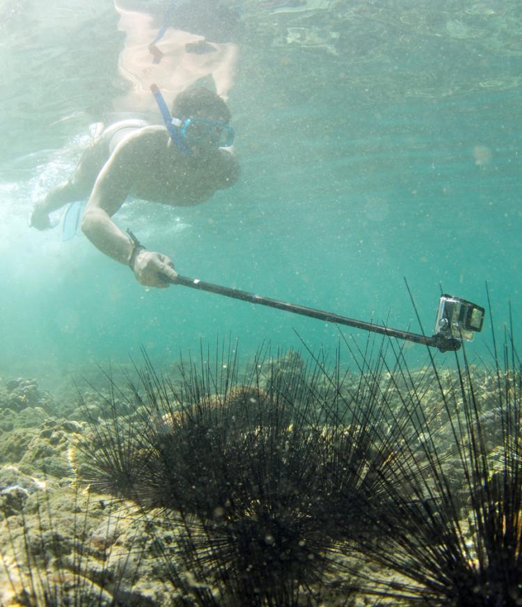 ไม้เซลฟี่ POV Pole 36" สำหรับกล้อง Gopro Xiaomi YI SJCAM น้ำหนักเบา ลงน้ำได้