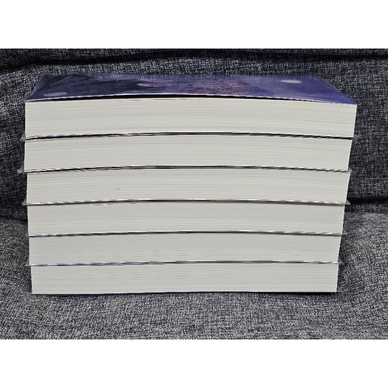 ลูบคมองครักษ์สวมรอย จิ่วเยวี่ยหลิวหั่ว 6เล่มจบ ราคา 1655