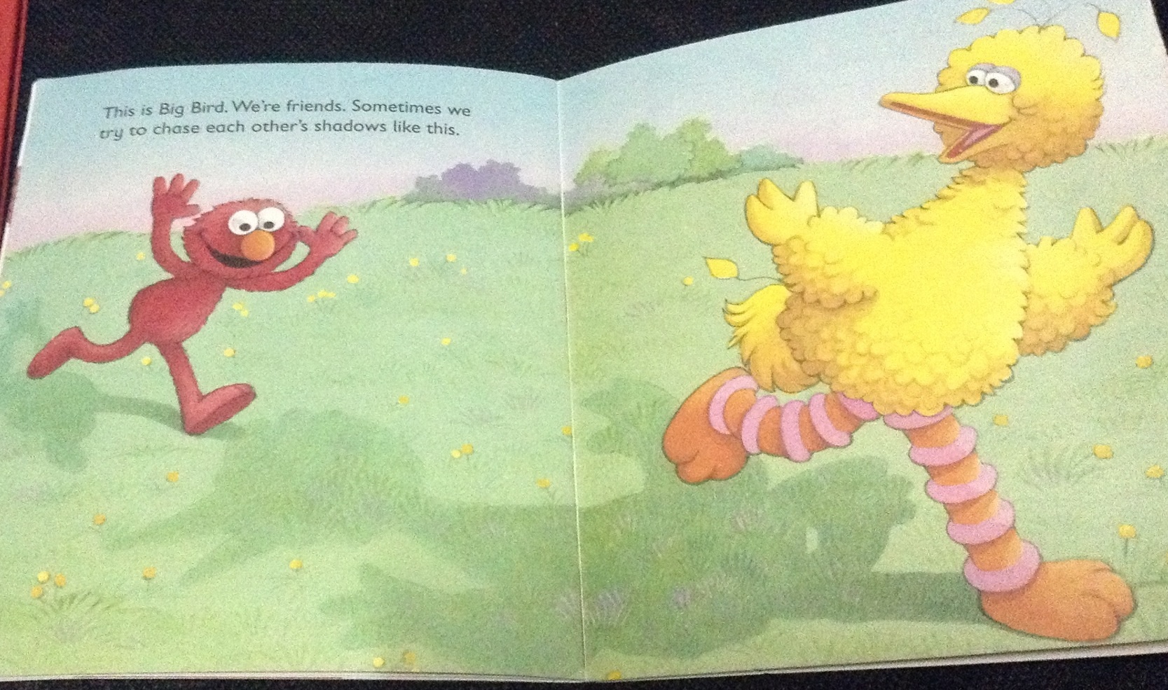 Meet Elmo ราคา 35