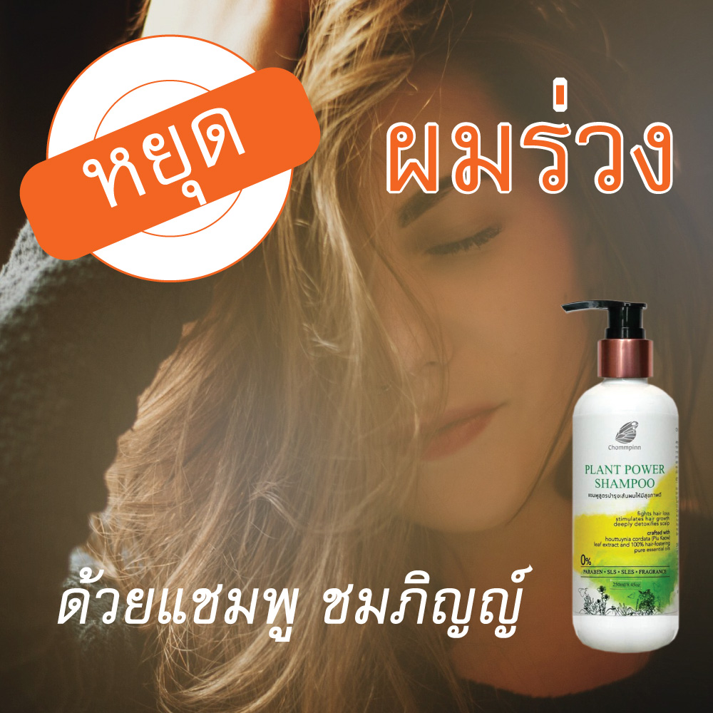 แชมพูลดผมขาดหลุดร่วง สมุนไพร สร้างผมใหม่ ชมภิญญ์ ผมดก เพิ่มผมหนา ลดผมร่วง ผมบาง พร้อมส่ง Plant Power 250 ml.