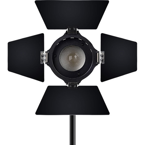 Aputure LS-mini20 Daylight 3-Light Flight Kit ( DDD )