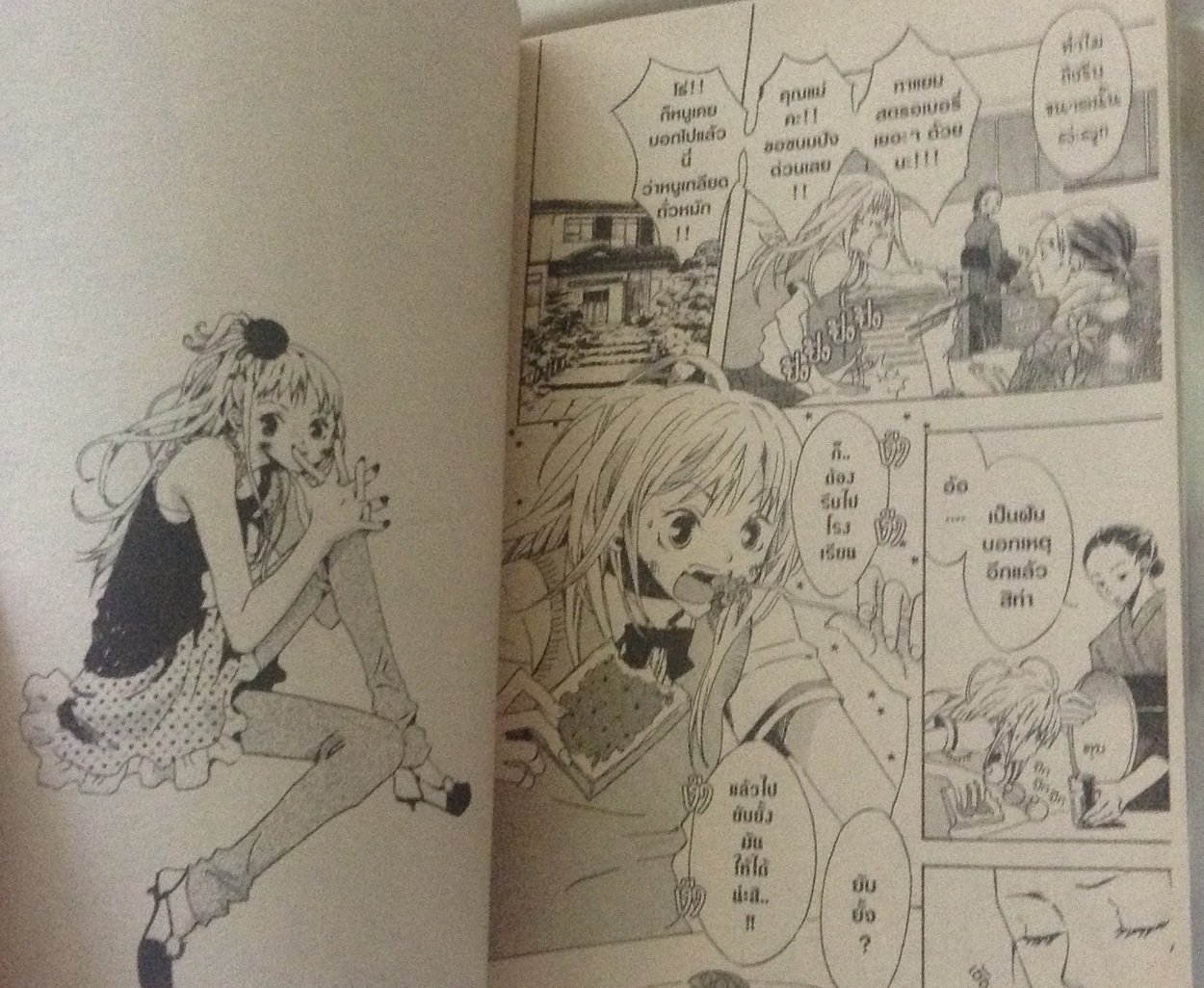 ดอกไม้ในห้วงนิทรา 2เล่มจบ ราคา 49