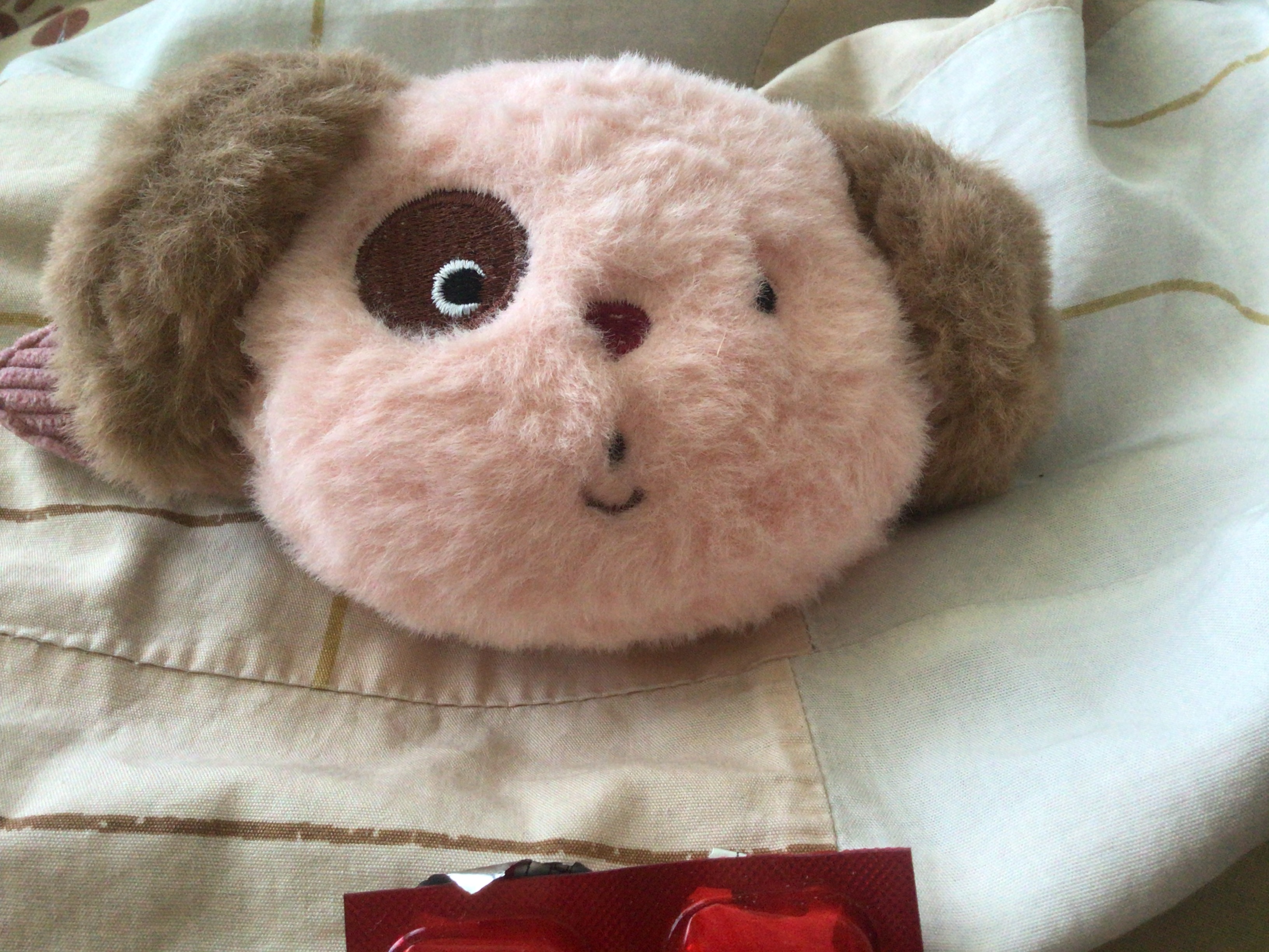 (ของแถม) กิ๊บติดผมขนาดใหญ่ ระบุรูปแบบในหมายเหตุ