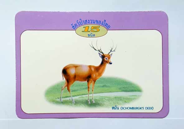 ปฏิทินพก เก่าสะสม ปี 2541/1998 การไฟฟ้าฝ่ายผลิต ชุดสัตว์ป่าสงวนของไทย
