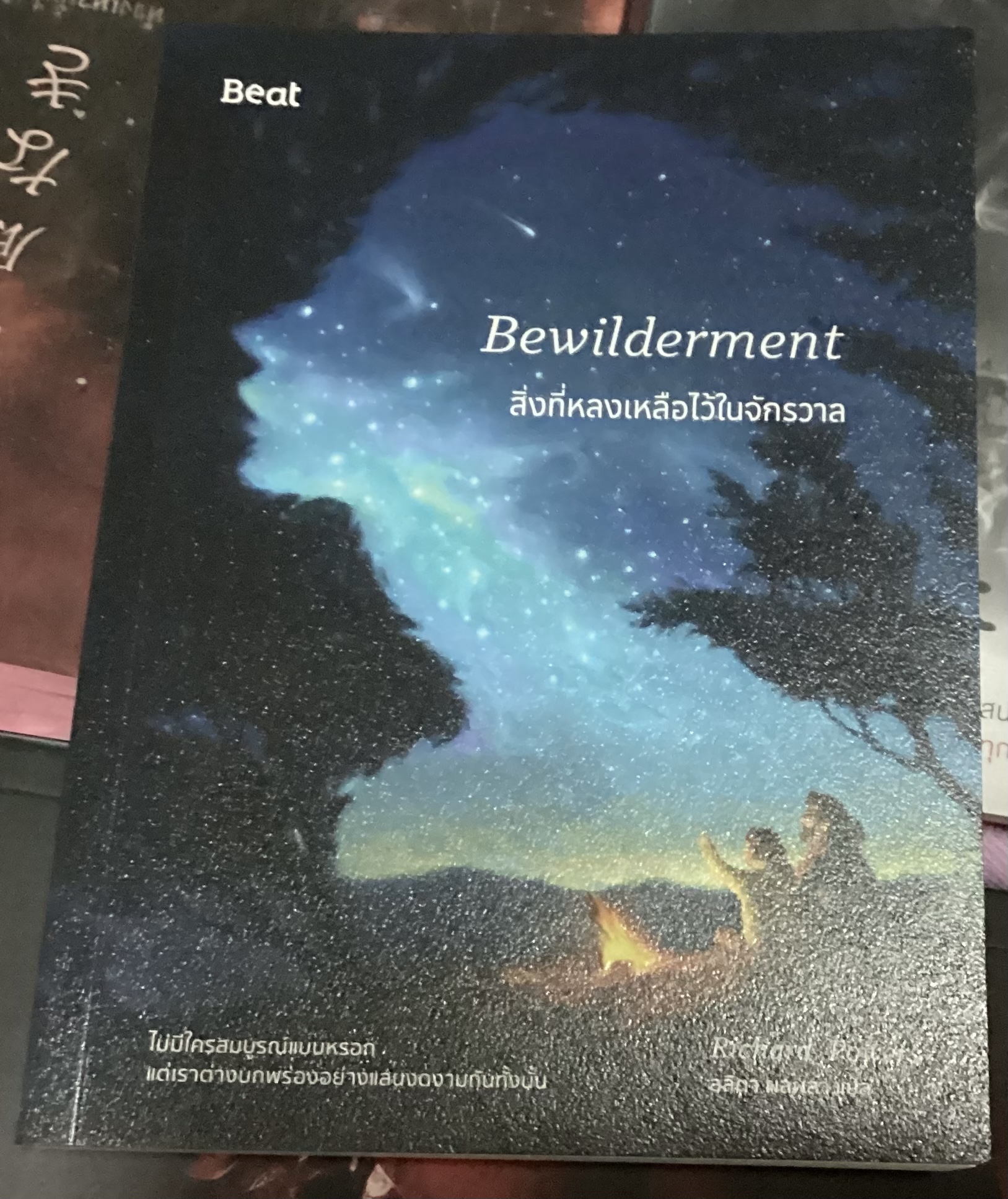 (สั่ง8จ่าย7) สิ่งที่หลงเหลือไว้ในจักรวาล ริชาร์ด พาวเวอร์ส ราคา 263