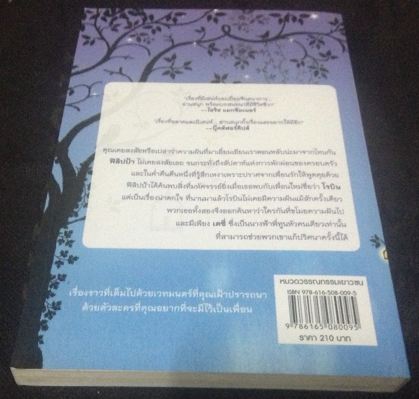 (สั่ง9จ่าย7) ฟิลิปป้า ฟิชเชอร์ กับลูกสาวของนักสร้างฝัน Philippa Fisher and the Dream Maker's Daughter Liz Kessler ราคา 147
