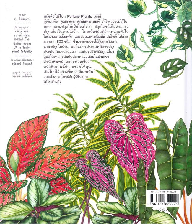 หนังสือเรื่อง ไม้ใบ Foliage Plants : ภวพล ศุภนันทนานนท์ : สำนักพิมพ์ บ้านและสวน
